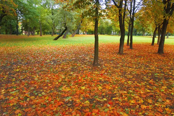 Parque de otoño —  Fotos de Stock