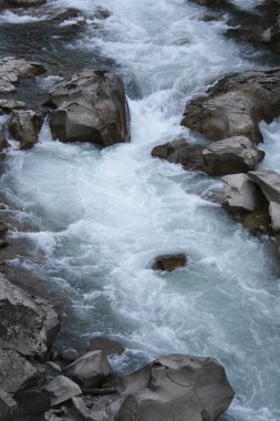 dağ taş orman Nehri