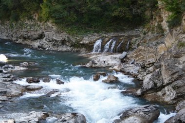 dağ taş orman Nehri