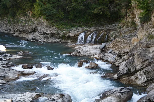 stock image Forest river in mountain rock