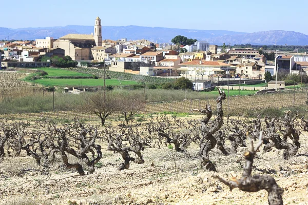 stock image Vineyards and Spanish Town.