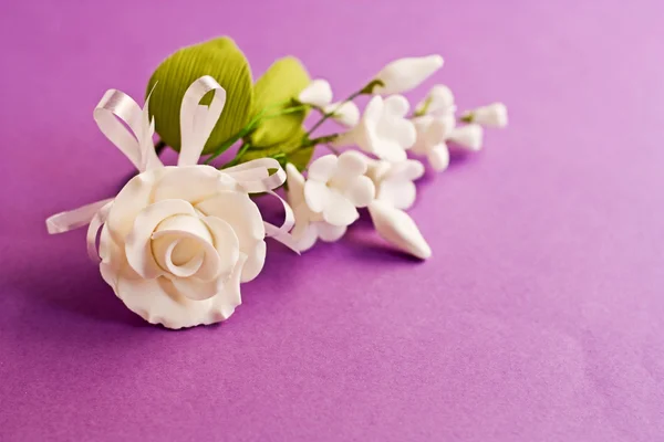 Beyaz çiçekler. — Stok fotoğraf