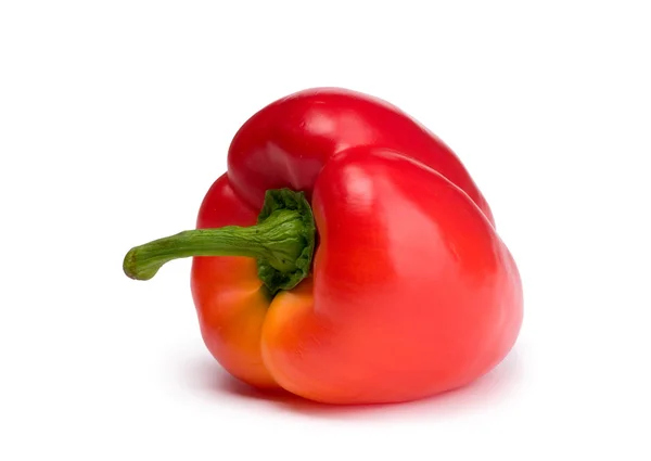 stock image Red pepper isolated