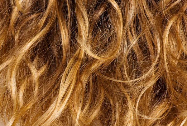 Blond kudrnaté vlasy - pozadí — Stock fotografie