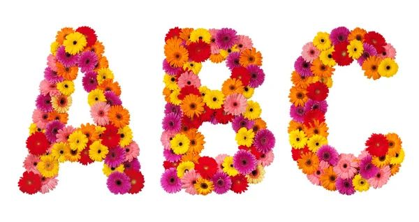 字母 a b c-花卉字母表上白色隔离 — 图库照片