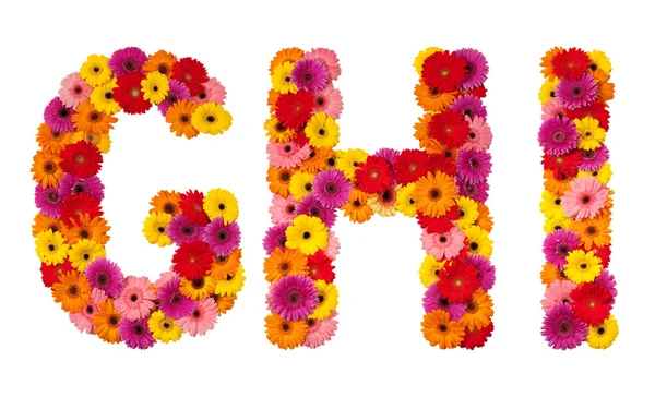 Písmeno g h i - abeceda květin izolované na bílém — Stock fotografie
