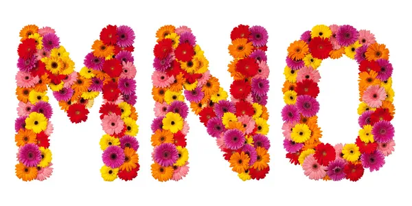 Harf m n o - beyaz izole çiçek alfabesi — Stok fotoğraf