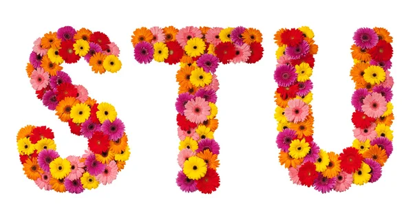 Harf s t u - beyaz izole çiçek alfabesi — Stok fotoğraf