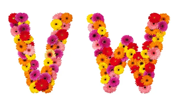 Lettre V W - alphabet floral isolé sur blanc — Photo