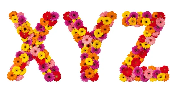 Písmeno x y z - abeceda květin izolované na bílém — Stock fotografie