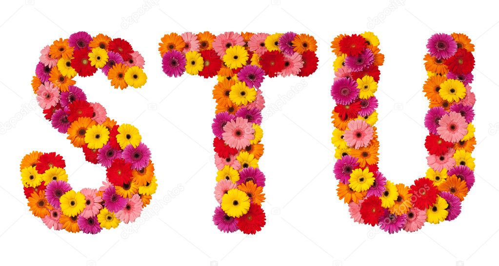 Letter S T U - flower alphabet isolated on white