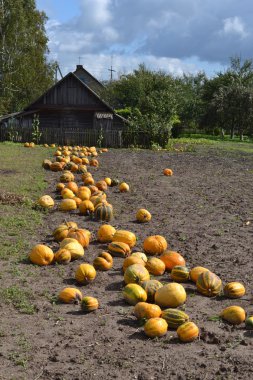 kırsal farmstead.belarus.