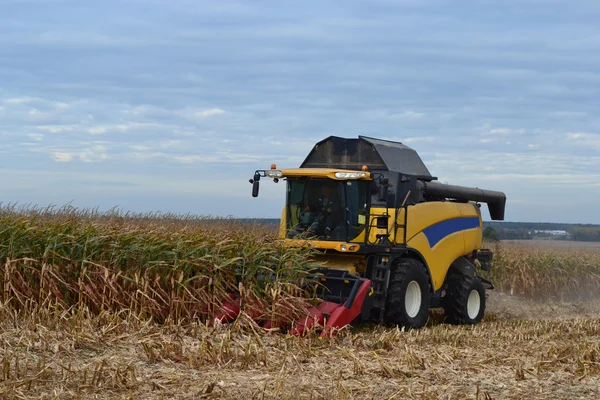 A kombájn összegyűjti a kukorica termés. — Stock Fotó