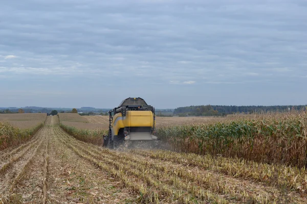 Комбайн збирає урожай кукурудзи . — стокове фото