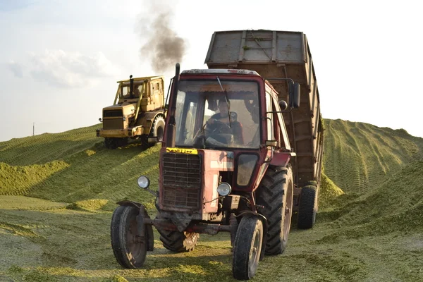 Traktor und Planierraupe auf Silovorbereitung. — Stockfoto