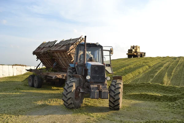 Traktor und Planierraupe auf Silovorbereitung. — Stockfoto