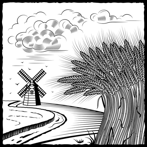 Пшеничні поля чорно-білі — стоковий вектор
