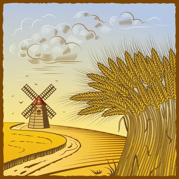 Wheat fields — Stock Vector