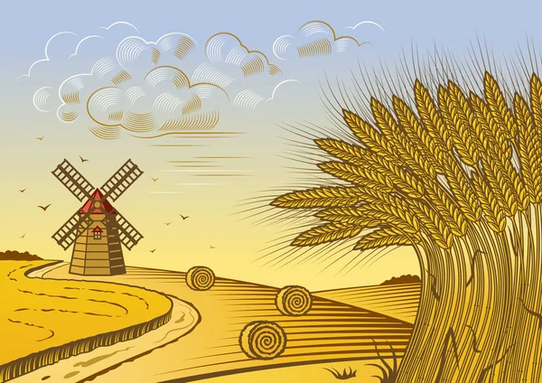 Пшеничні поля краєвид — стоковий вектор