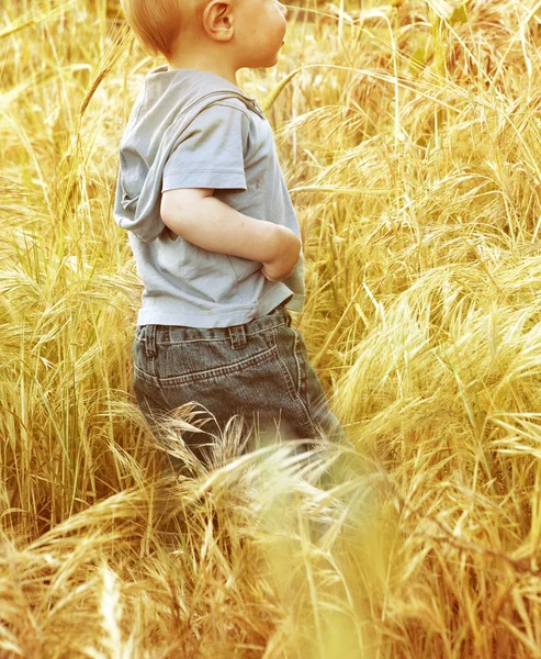 Piccolo bambino che cammina attraverso un campo di erba — Foto Stock