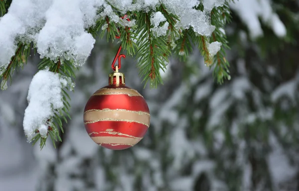 Bola de Natal, árvore de Natal Imagens De Bancos De Imagens