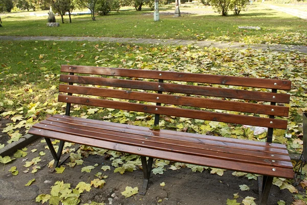 Одинокая скамейка — стоковое фото