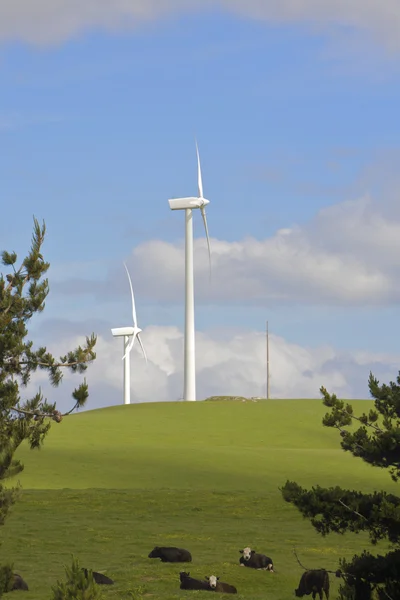 Turbiny wiatrowe wytwarzania energii elektrycznej — Zdjęcie stockowe