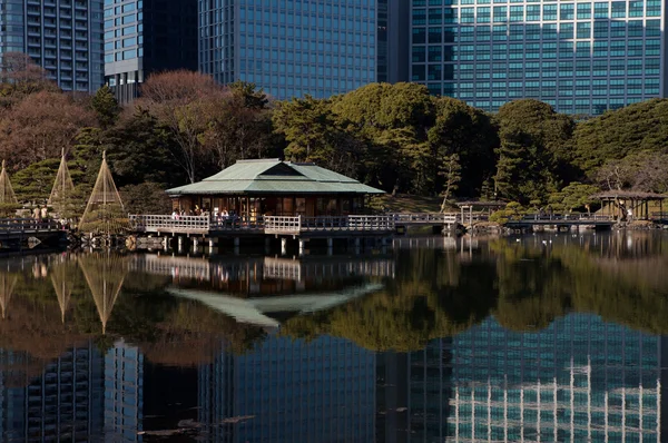东京的体系结构 — 图库照片