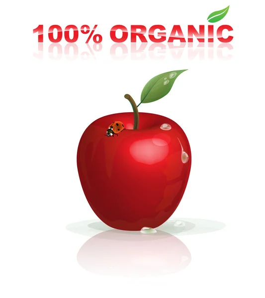 Organické jablko — Stockový vektor