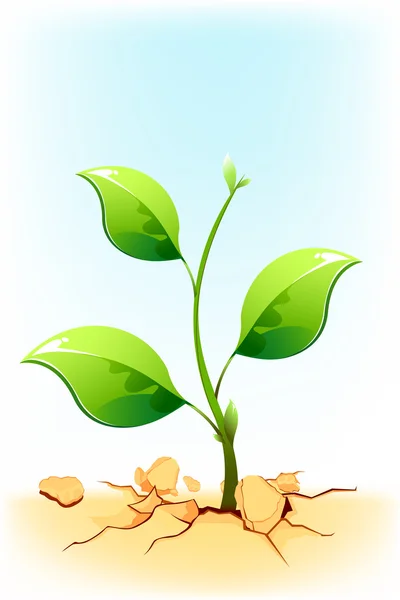 Growing Plant — Stock Vector