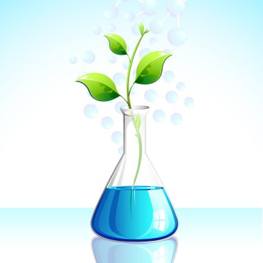 Biotechnological Plant