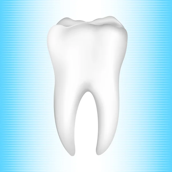 Gesunde Zähne — Stockvektor