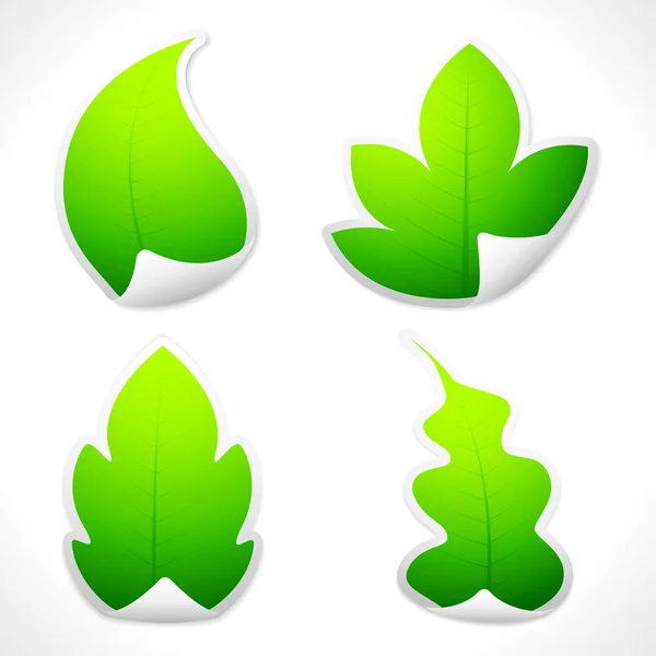 Leaf klistermärke — Stock vektor