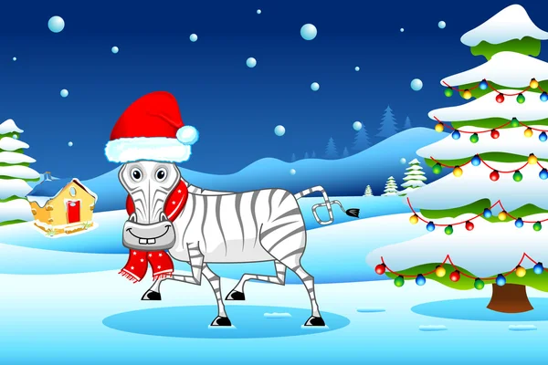 Zebra in Weihnachtsstimmung — Stockvektor