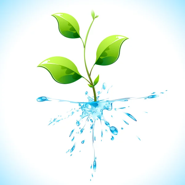 水様の植物 — ストックベクタ