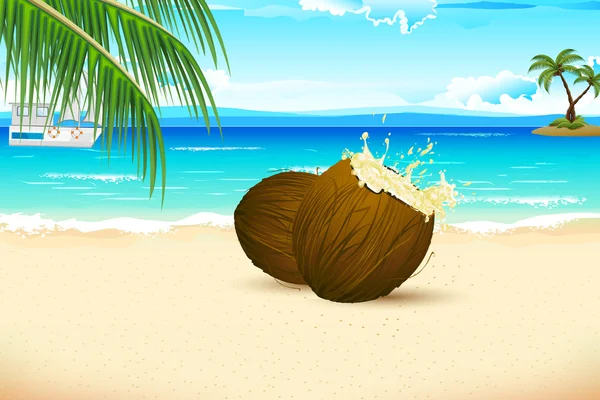 海海滩上的新鲜椰子 — 图库矢量图片