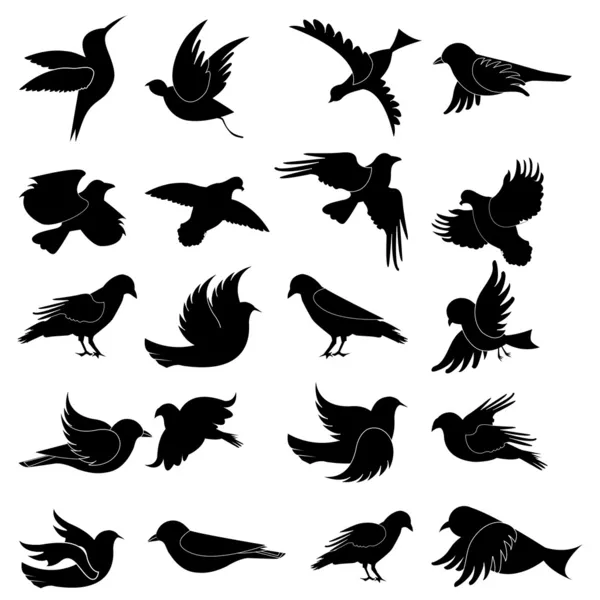 Silueta de ave — Archivo Imágenes Vectoriales