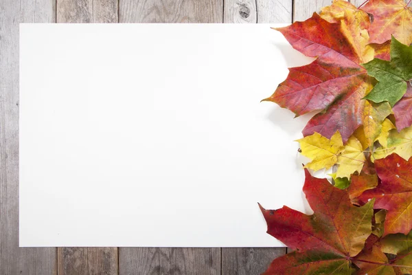 Autumn leaves on wooden background Stock Picture