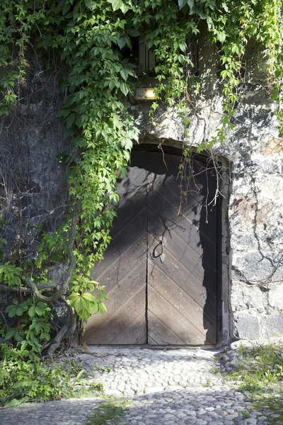 Tür mit Schlingpflanzen — Stockfoto