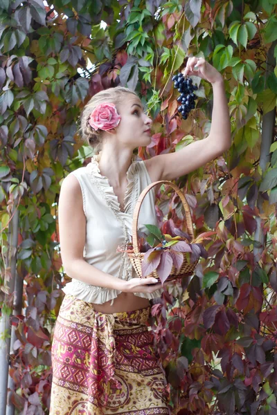 द्राक्षांचा एक टोपली एक लांब स्कर्ट मध्ये सुंदर मुलगी — स्टॉक फोटो, इमेज