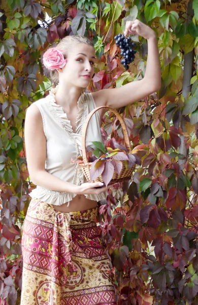 Bella ragazza in una gonna lunga con un cesto d'uva — Foto Stock