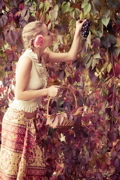 Gyönyörű lány, egy hosszú szoknya egy kosár, szőlő — Stock Fotó
