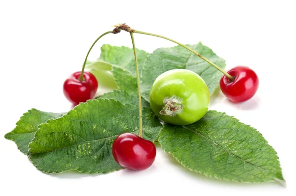 Cherry and apples — Stock Photo, Image