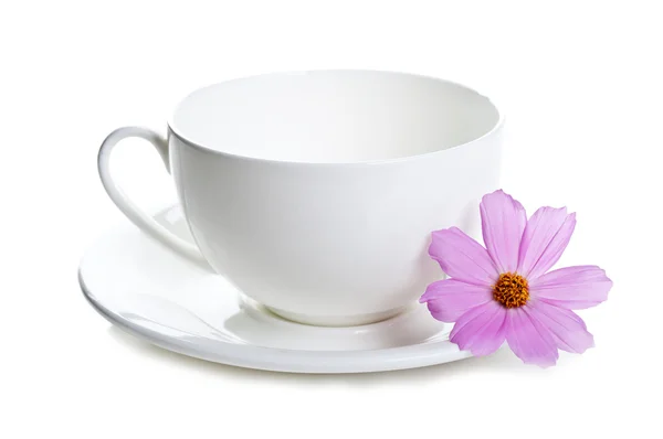 stock image White cup of tea and flowers