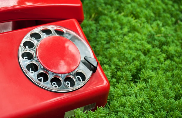 Rode telefoon op groen gras — Stockfoto