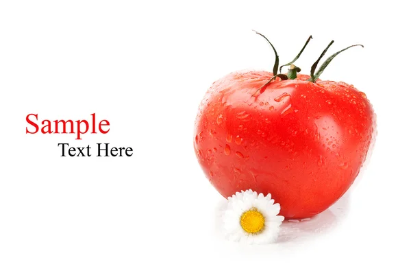 フレッシュ トマトと花 — ストック写真