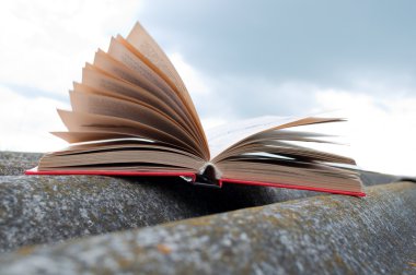 açık kırmızı kitap