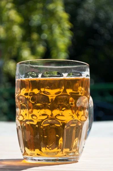 Verse glas bier — Stockfoto