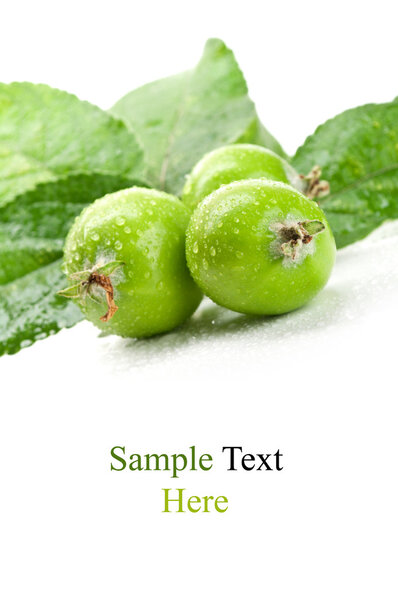 Ранние яблоки свежие