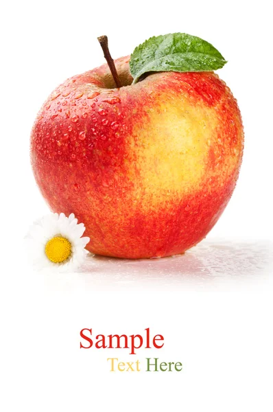 워터 드롭과 신선한 사과 — 스톡 사진